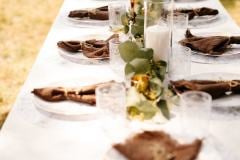 algonquin-il-backyard-wedding-7