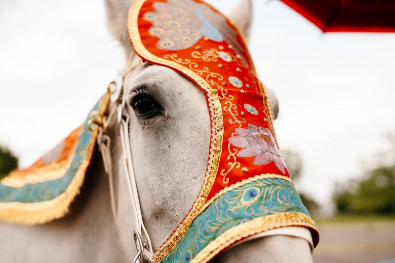 Baraat-Chicago-Indian-Wedding-Photos-Jas-Kelly-2