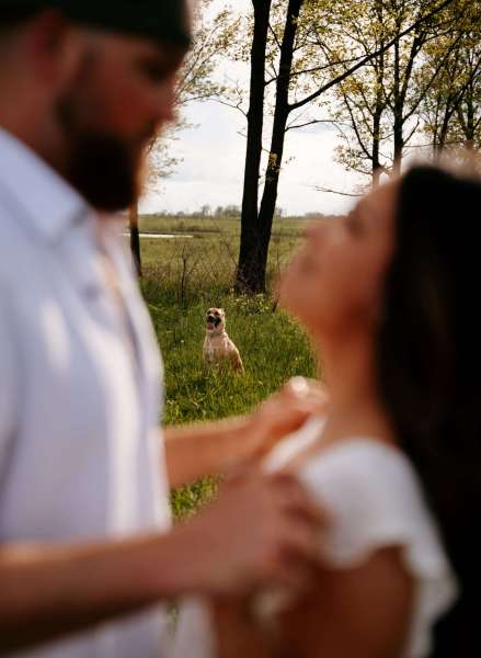 Couple blurred with dog for Chicago engagement photos