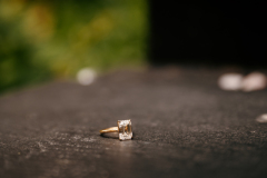 Engaged-203