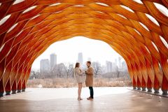 Surprise-Proposal-The-Honeycomb-Chicago-16