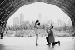 Surprise-Proposal-The-Honeycomb-Chicago-28