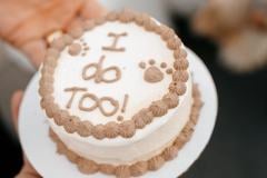 Hotel-Carmichael-Wedding-Details5