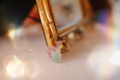 Bohemian-Lights-Photography-375