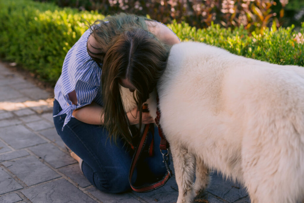 Senior Husky Cuddles