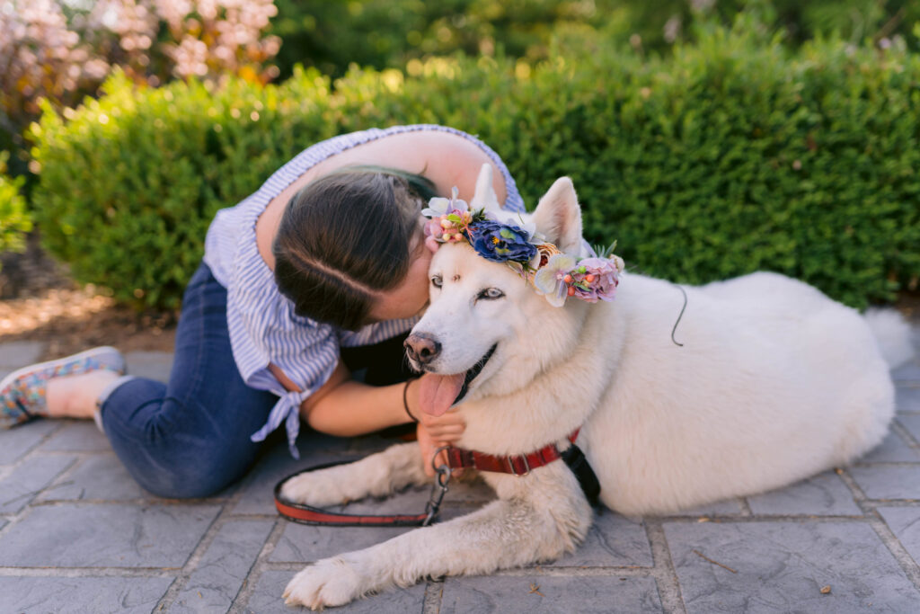 Senior Husky Kisses