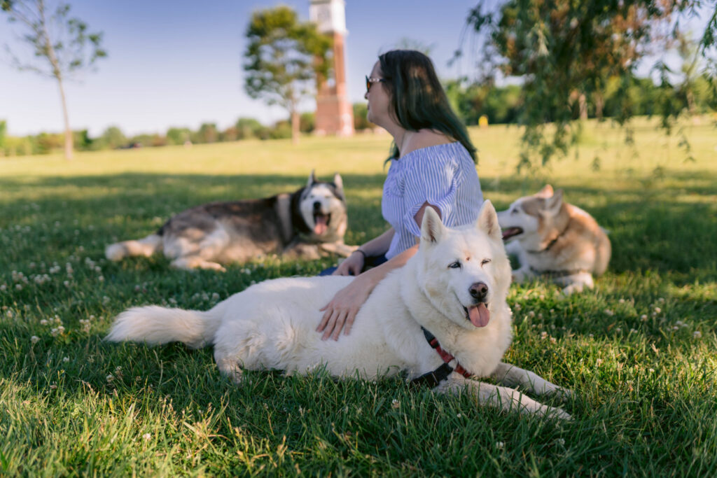 Huskies enjoying the summer