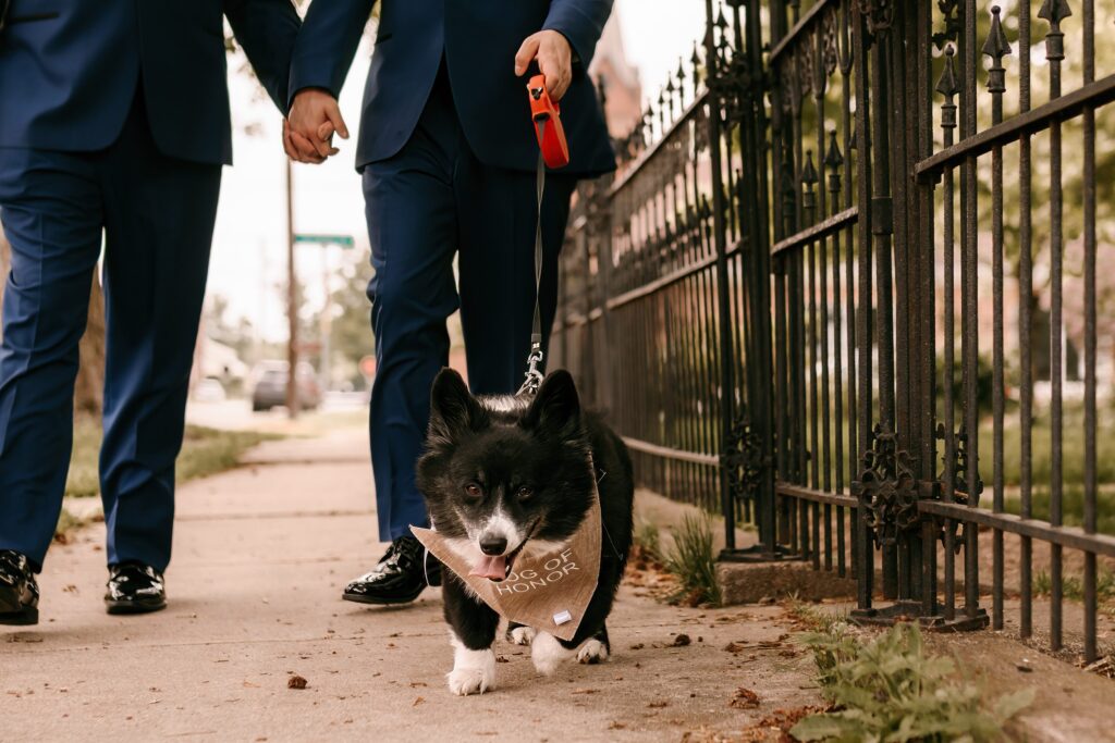 Midwest LGBTQ Wedding Photographer