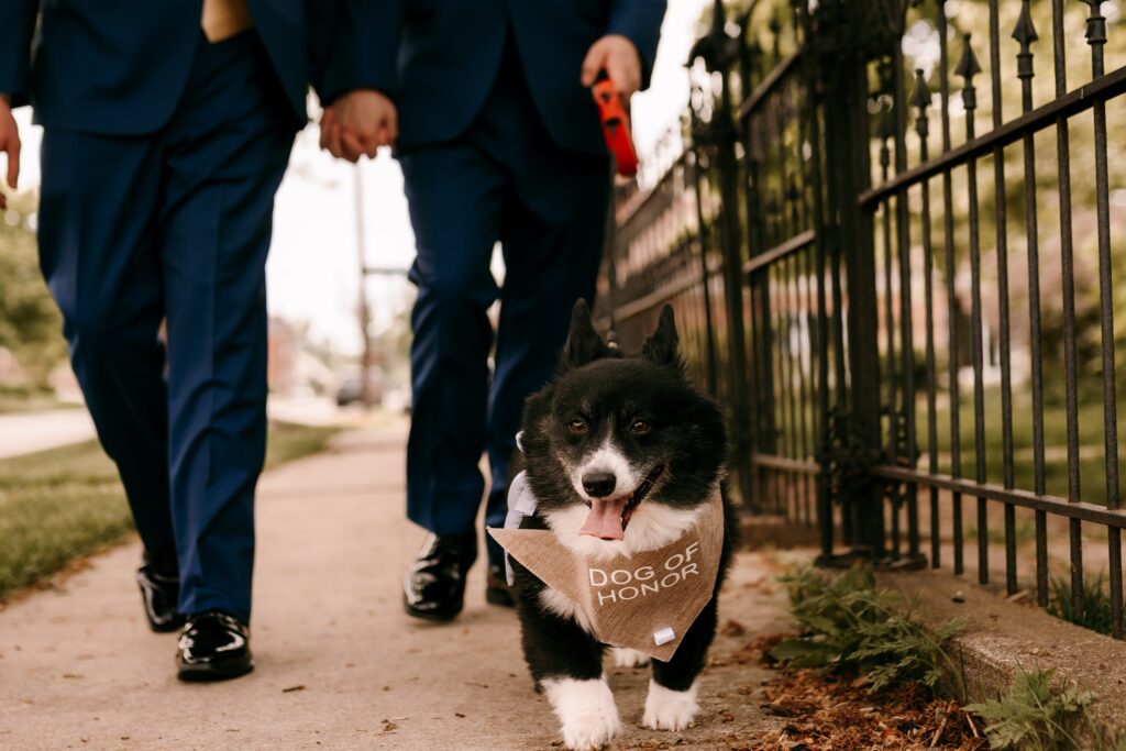 Chicago LGBTQ Wedding Photographer