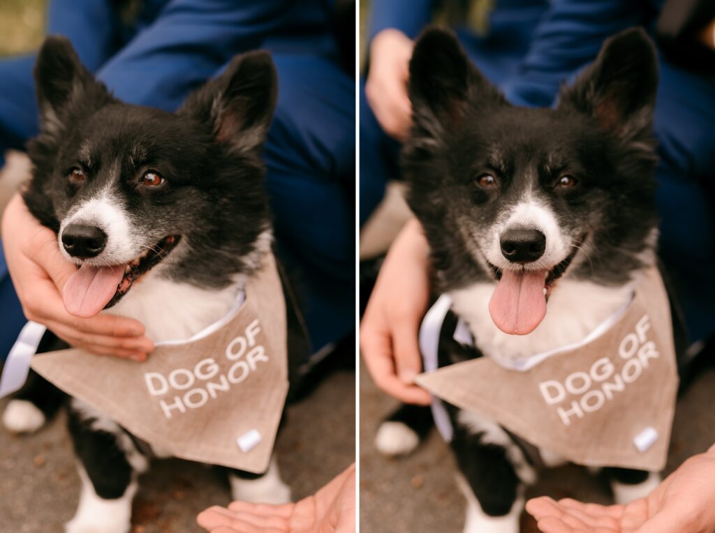 Indiana LGBTQ Wedding Photographer