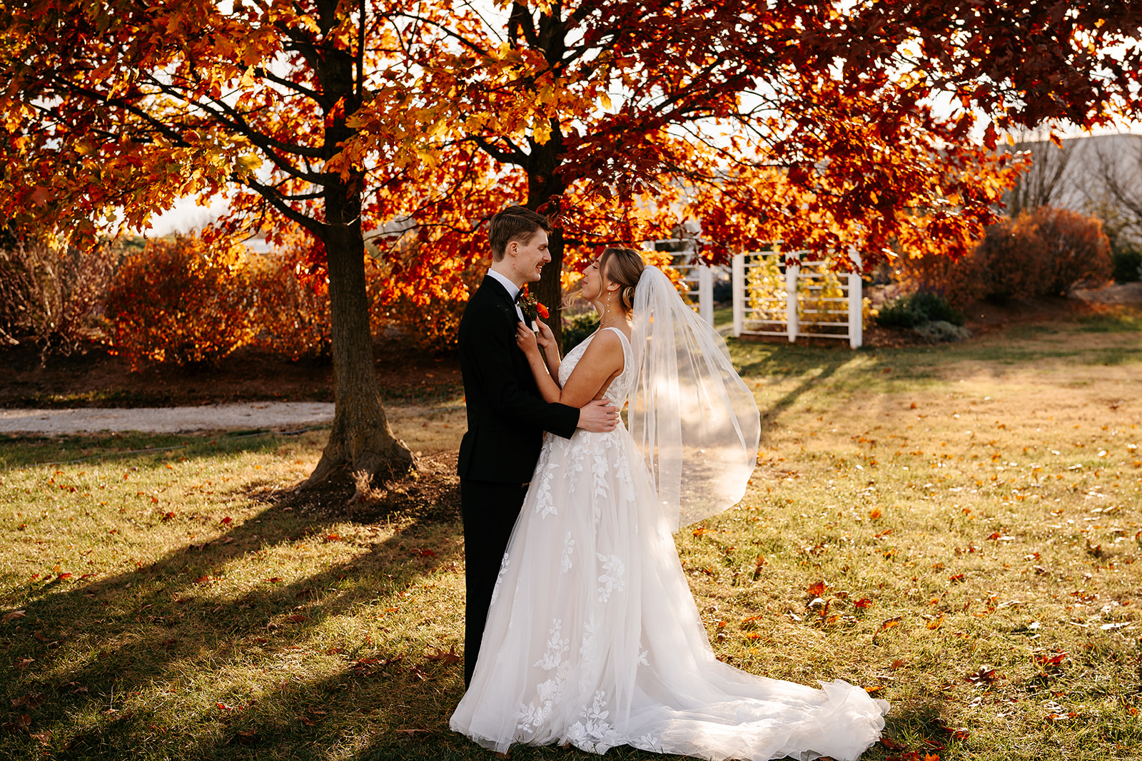 wedding photography cost lafayette