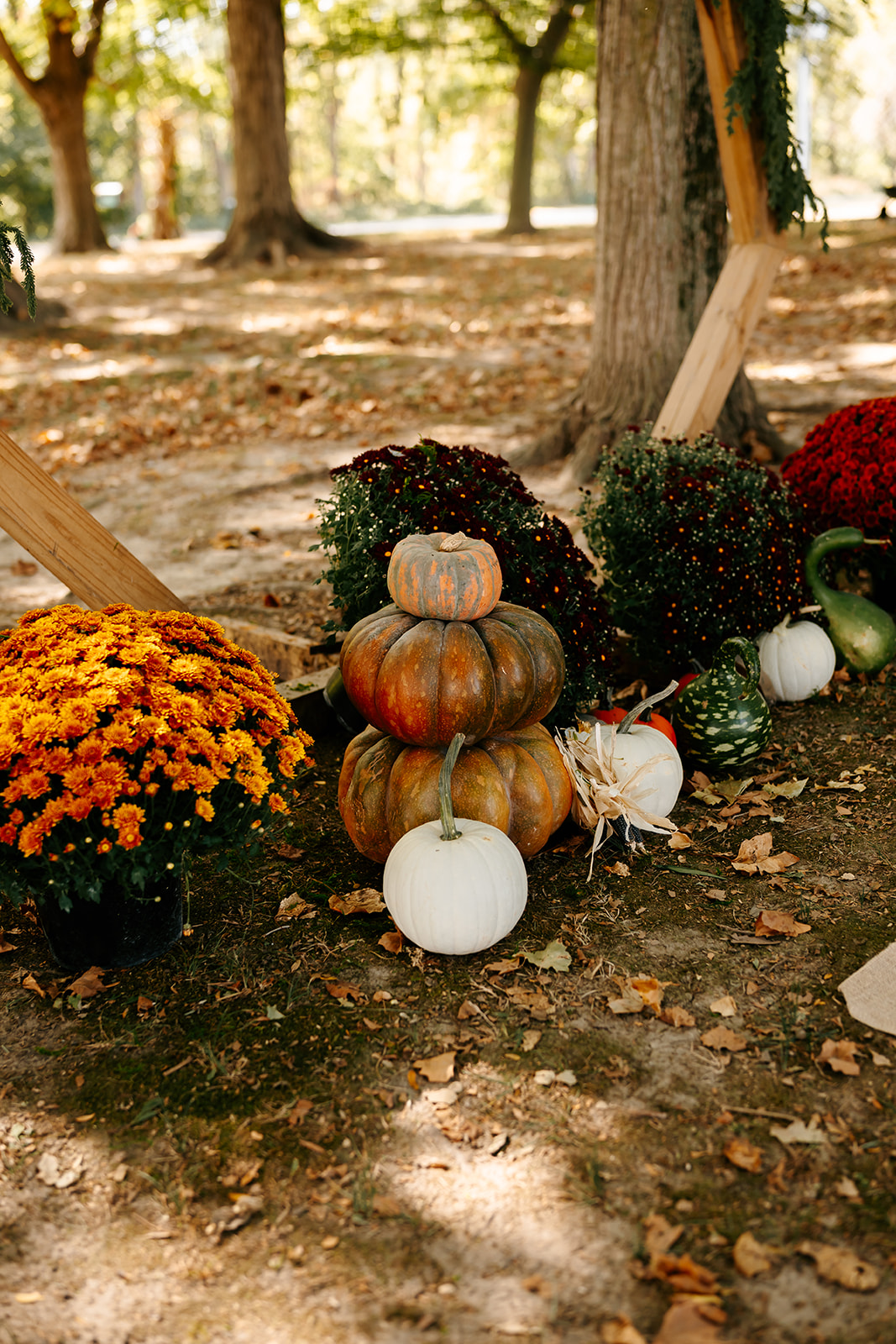 fall decor and pumpkins for wedding