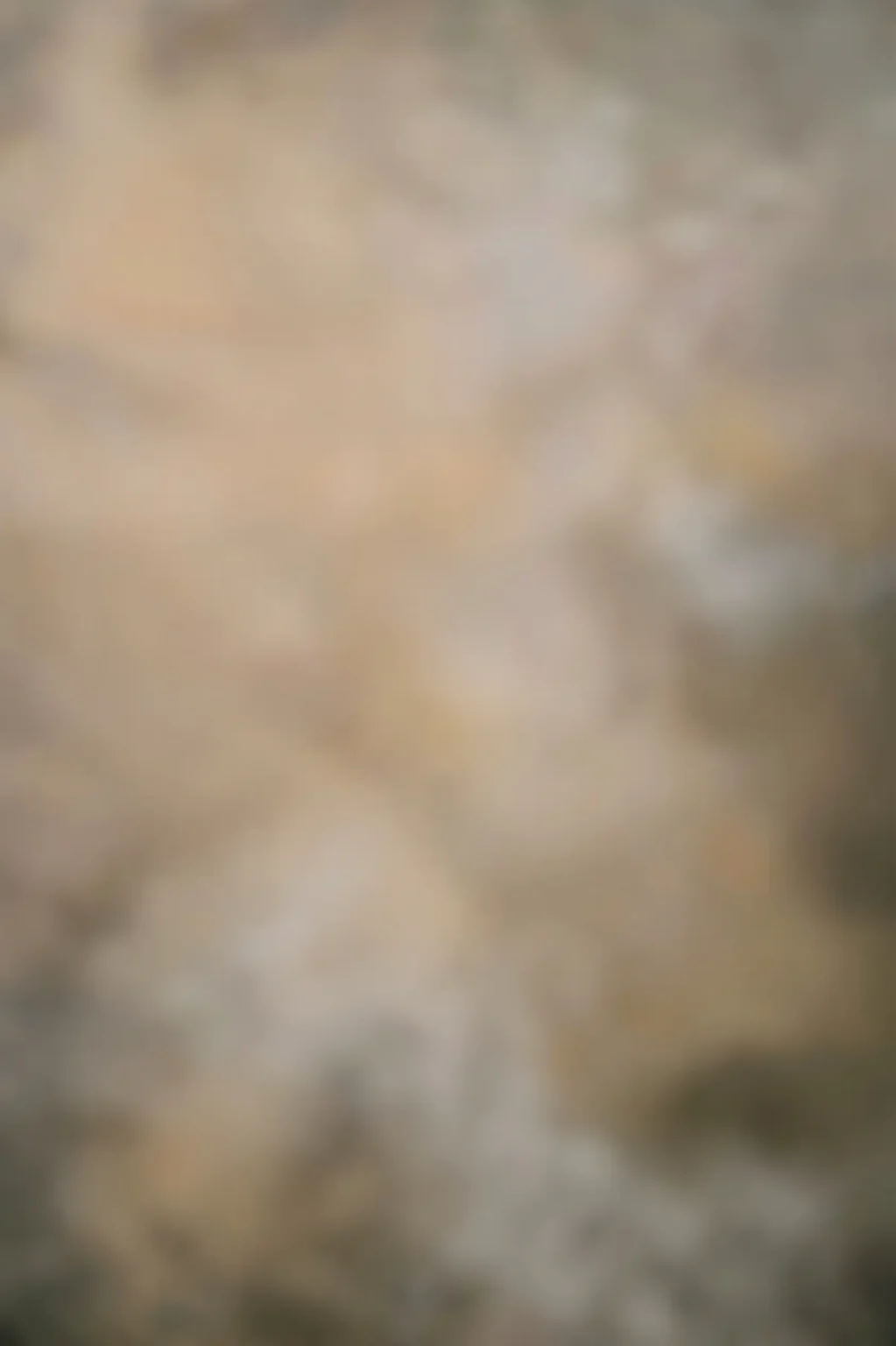 neutral backdrop